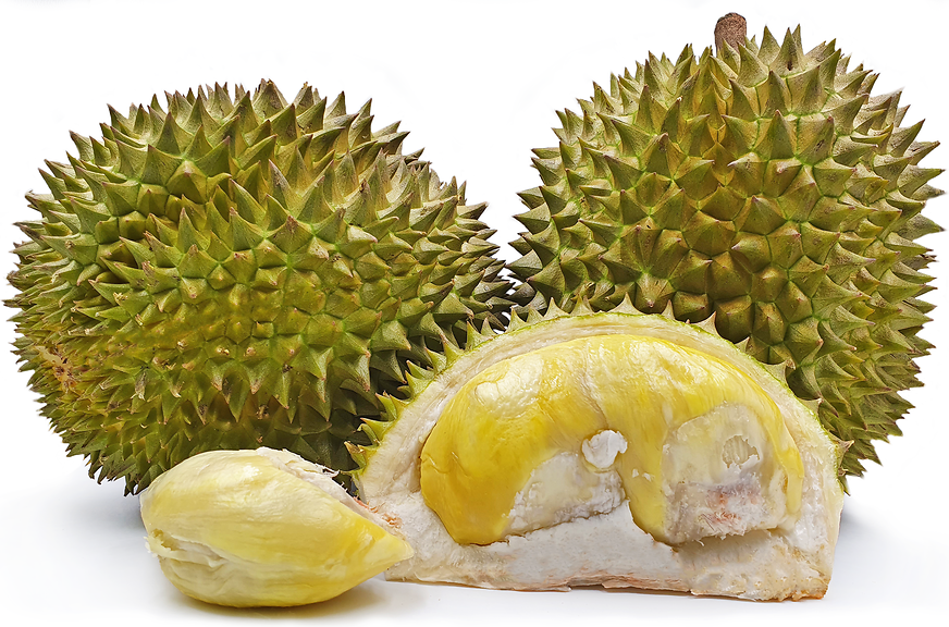 Durian Matahari