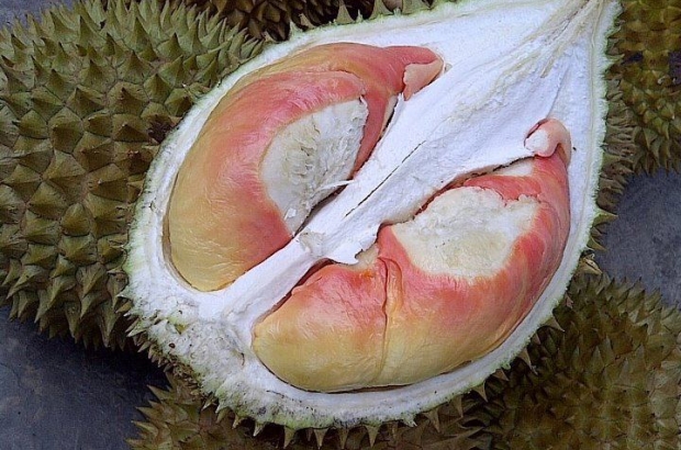 Durian Pelangi