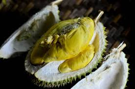 Durian Mimang