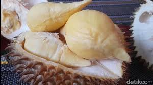Durian Sitokong